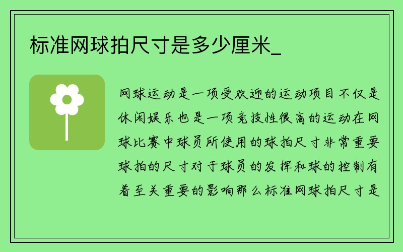 标准网球拍尺寸是多少厘米_