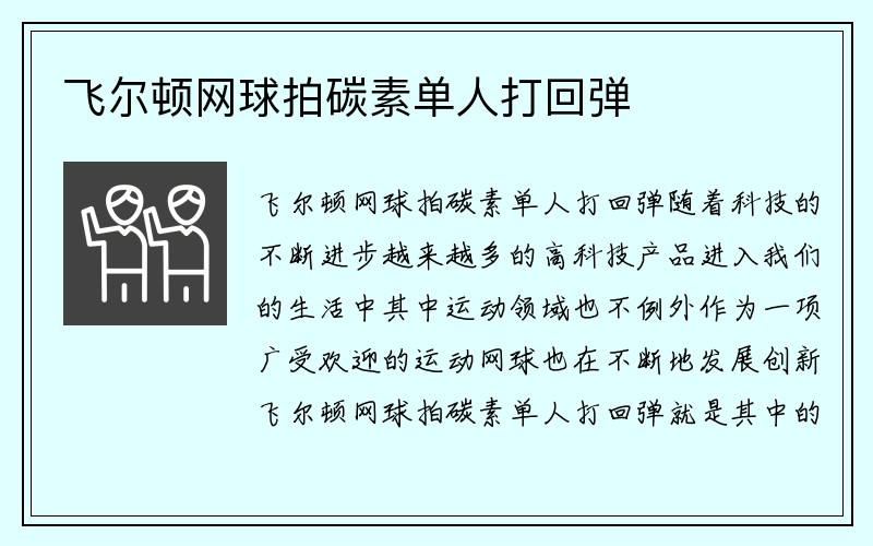 飞尔顿网球拍碳素单人打回弹