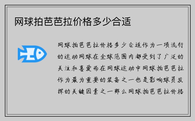 网球拍芭芭拉价格多少合适